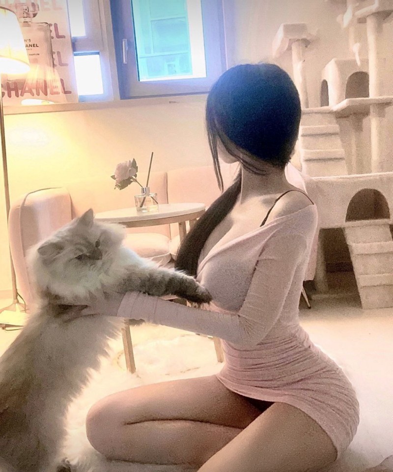 樱花动漫在线观看动漫第8集免费,午夜高清完整版